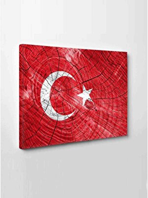 LED Işıklı Türk Bayrağı (Bir Hilal Uğruna Ya Rab) 50 x 35