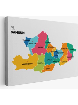 Samsun Ili ve Ilçeler Haritası  Dekoratif Kanvas Tablo 1445