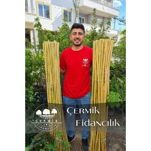 Çermik Fidancılık Bambu Fidan Bitki Destek Çubuğu 10 Adet 2 Metre