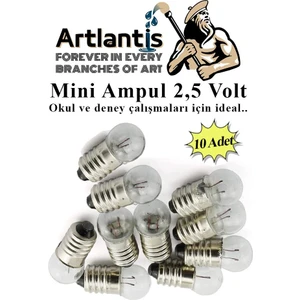 Mini Ampul 2,5 Volt 10 Adet 1 Paket Küçük Elektrik Deney Ampulü 2.5 V Okul Sınıf Elektrik Devre Deney Ampulü