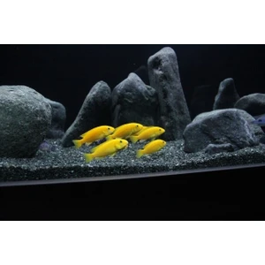 Kanki Pet Bazalt Kum 1 - 2 mm 1 kg