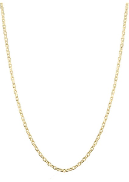 Renk Seçenekli Gold Rose Silver 925 Ayar Gümüş Ince Forse Zincir 45 cm Uzunluk modelleri