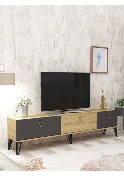 AR-12078 Holly Tv Ünitesi Antrasit / Safir