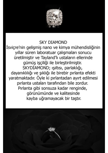 SKY DIAMOND taşlı gümüş rose kolye