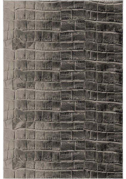 Dijital Salon Halısı Trend Keçe Kaymaz Taban Modern Blaithin Bej fiyatları