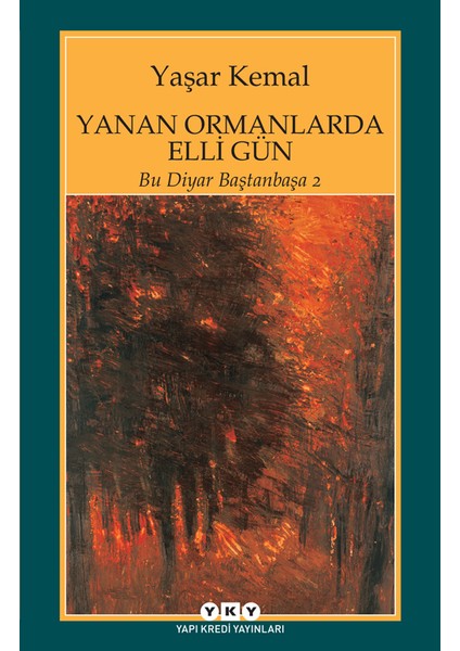 Nuhun Gemisi - Bir Bulut Kaynıyor - Peri Bacaları - Yanan Ormanlarda Elli Gün 4 Kitap - Yaşar Kemal