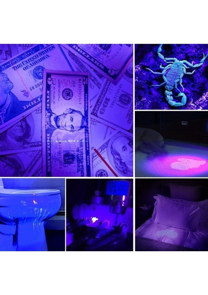 Uv Profesyonel Zoomlu Flaşlı LED Mor Işık El Feneri 395 Nm Ekstra Güç