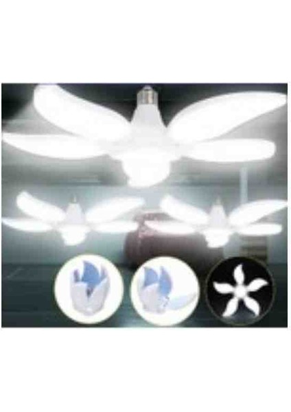 36W Mango Çiçek LED Ampul 3 Adet
