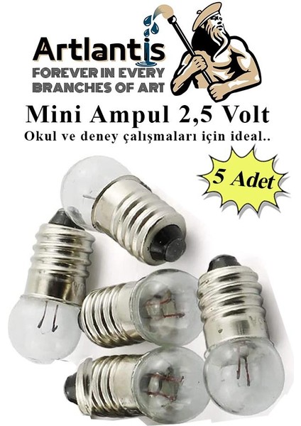 Mini Ampul 2,5 Volt 5 Adet 1 Paket Küçük Elektrik Deney Ampulü 2.5 V Okul Sınıf Elektrik Devre Deney Ampulü