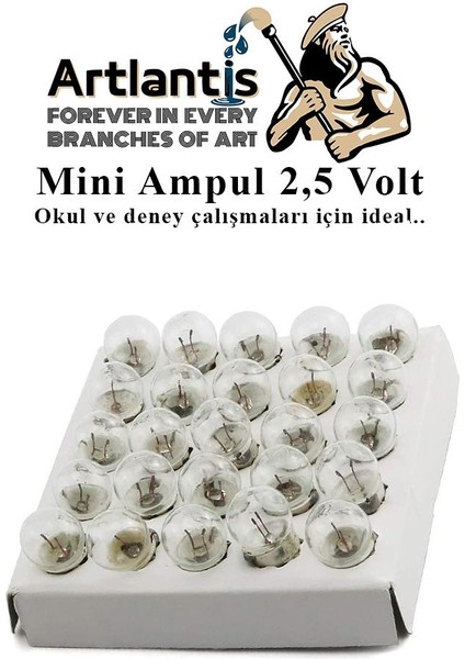 Mini Ampul 2,5 Volt 5 Adet 1 Paket Küçük Elektrik Deney Ampulü 2.5 V Okul Sınıf Elektrik Devre Deney Ampulü