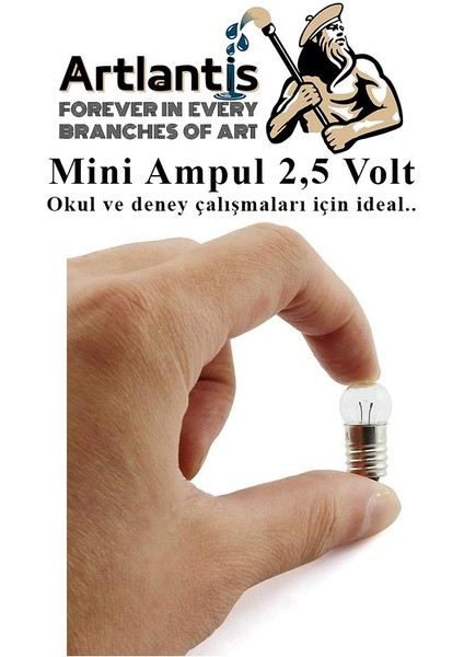 Mini Ampul 2,5 Volt 5 Adet 1 Paket Küçük Elektrik Deney Ampulü 2.5 V Okul Sınıf Elektrik Devre Deney Ampulü