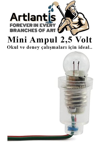 Mini Ampul 2,5 Volt 5 Adet 1 Paket Küçük Elektrik Deney Ampulü 2.5 V Okul Sınıf Elektrik Devre Deney Ampulü