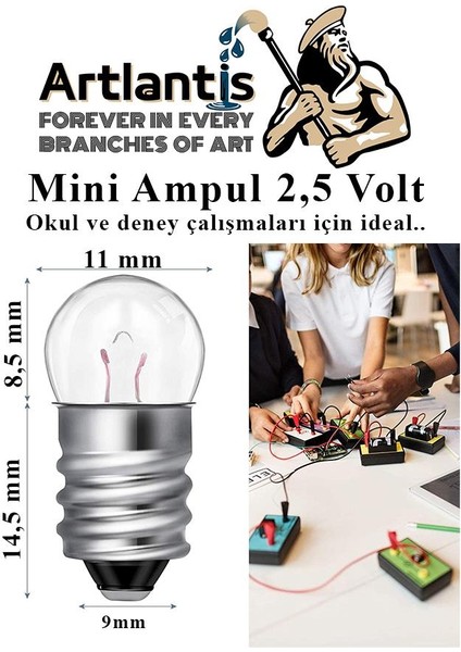 Mini Ampul 2,5 Volt 5 Adet 1 Paket Küçük Elektrik Deney Ampulü 2.5 V Okul Sınıf Elektrik Devre Deney Ampulü