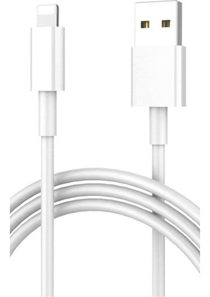 Apple Iphone 11 Pro Şarj Kablosu Lightning