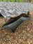 Roof Serisi Tarp 4