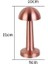 Forlife Dekoratif Şarjlı LED Masa Lambası Bronz FL-8080 3
