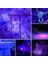 Uv Profesyonel Zoomlu Flaşlı LED Mor Işık El Feneri 395 Nm Ekstra Güç 5