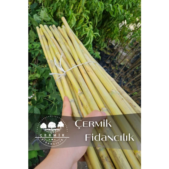Çermik Fidancılık Bambu Fidan Bitki Destek Çubuğu 20 Adet 170 cm