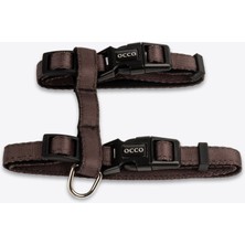 Occo - Mocha - Cat H-Harness Kedi Gezdirme Göğüs Tasması