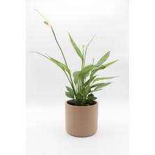 Apricity Dekoratif Büyük Boy Silindir Beton Saksı / 13 cm