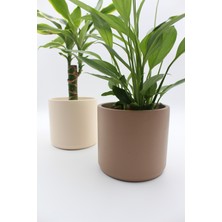 Apricity Dekoratif Büyük Boy Silindir Beton Saksı / 13 cm