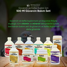 Royal Ilaç 500 Ml. Güvercin Bakım Seti