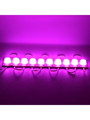 Virox Modül LED 12V 1.5W Pembe 3030 40X30 mm (81)