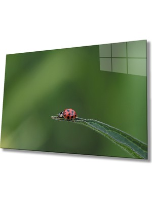 Guwwen  Uğur Böceği Yeşil Cam Tablo   Ladybug Green