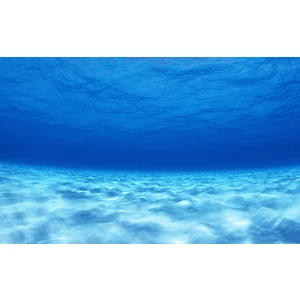 Kanki Pet KP554003 Akvaryum Arka Fon Yapıştırma 55 cm