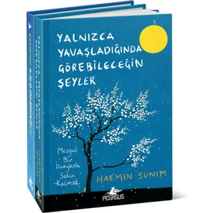 Yalnızca Yavaşladığında Görebileceğin Şeyler - Kendini Kusurlarınla Sev - Ciltli - Haemin Sunim