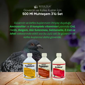 Royal Ilaç Güvercin Ve Kafes Kuşları Için 500 Ml Muhteşem Üçlü Set (Pigeotonic+Pigeorex+Acidoral)