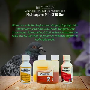 Royal Ilaç Güvercin Ve Kafes Kuşları Için Mini Muhteşem Üçlü Set (Pigeotonic+Pigeorex+Acidoral)