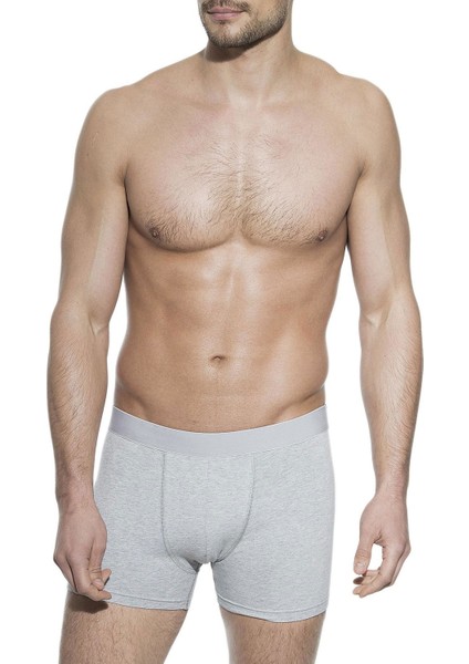 Gri Erkek Boxer 2032