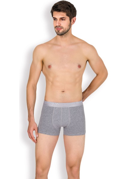 Gri Erkek Boxer 2032