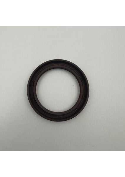 Yağ Keçesi Viton 75X100X13 fırsatları