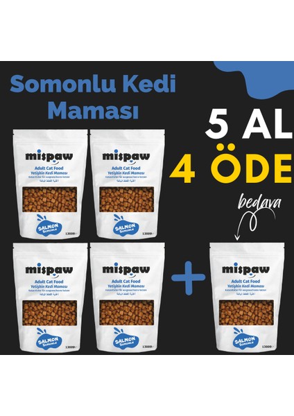 Yetişkin Somonlu Kuru Kedi Maması 6500 Gr. (1300 Gr. x 5)