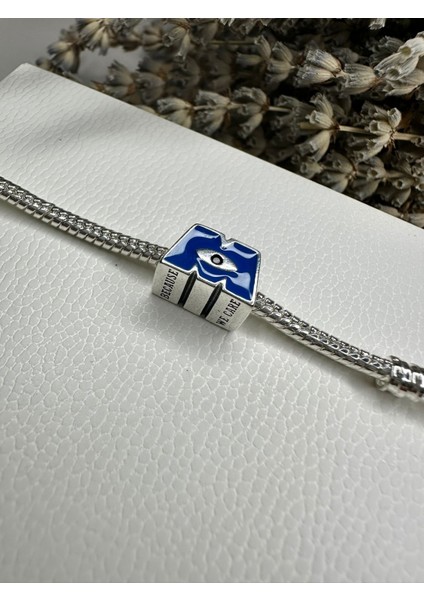 Gümüş S925 Damgalı Disney Pixar Sevimli Canavarlar M Logo Charm fiyatları