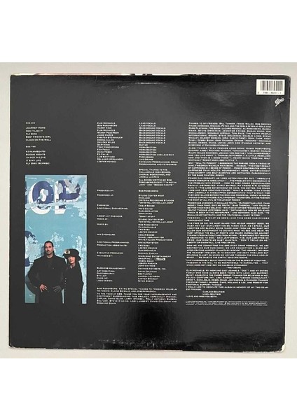 Will To Power Journey Home Lp Plak (Orjinal 1990 Dönem Avrupa Baskı)