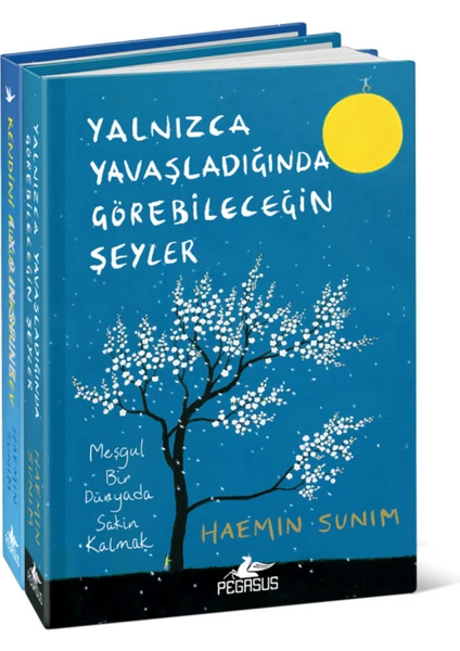 Yalnızca Yavaşladığında Görebileceğin Şeyler - Kendini Kusurlarınla Sev - Ciltli - Haemin Sunim