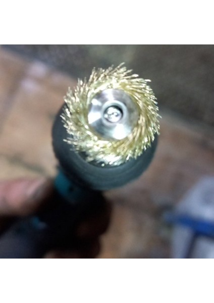 40 Parça Mini Tel Fırça Tekerlek Fincan Pirinç Çelik Tel Fırça Seti (3mm) Güç Dremel Döner Aracı Için Sap Parlatma Buff (Yurt Dışından) indirimleri