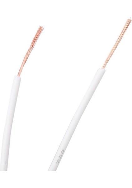 Neon Trafo 5kvac 30MA Yük 1-5mm Işaret Doğrultucu 220VAC (Yurt Dışından) modelleri