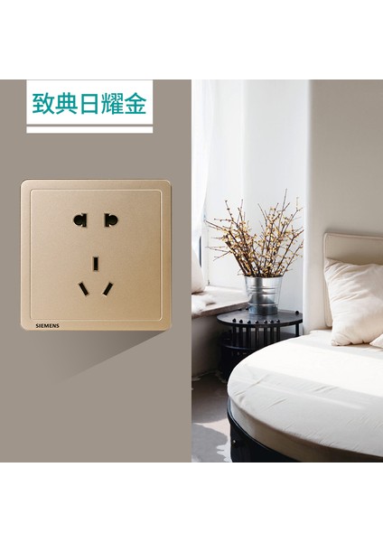 Siemens Anahtar Prizi Zhidian Serisi Sun Yaojin Bir Tek Açık Çift Kontrol Beş Delikli Panel (Yurt Dışından) fiyatları