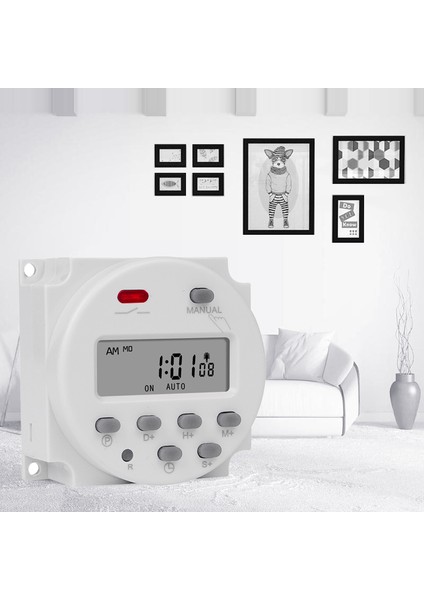 CN101S 1 Ikinci Aralık 5V 12V 24V 110V 220V Dijital Zamanlayıcı Anahtarı Programlanabilir Zaman Rölesi Programcısı Yepyeni ve Kaliteli (Yurt Dışından) fırsatları