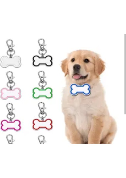 Köpek Tasma Ucu Isimlik fiyatları