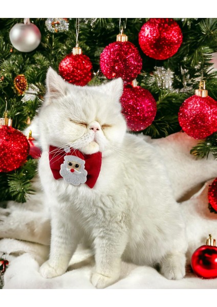 Santa Neo Kedi Papyonu Kurdela Tasma Yılbaşı Noel