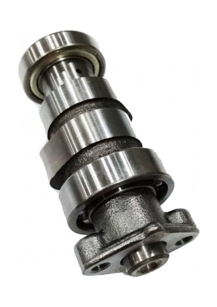 Eksantrik Mili Scooter Rıtmıca 100 Mondial