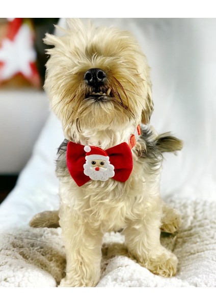 Santa Neo Köpek Papyonu Kurdela Tasma Yılabşı Noel