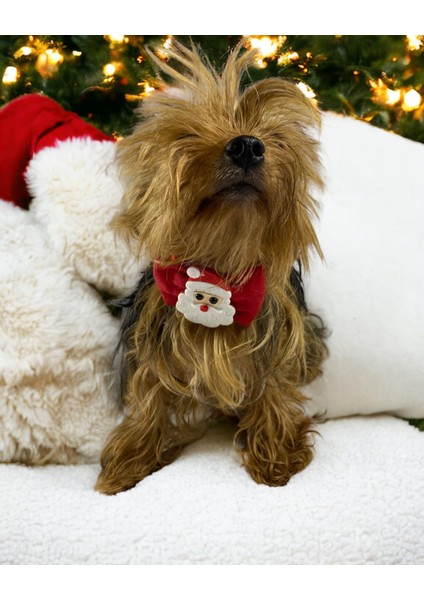 Santa Neo Köpek Papyonu Kurdela Tasma Yılabşı Noel