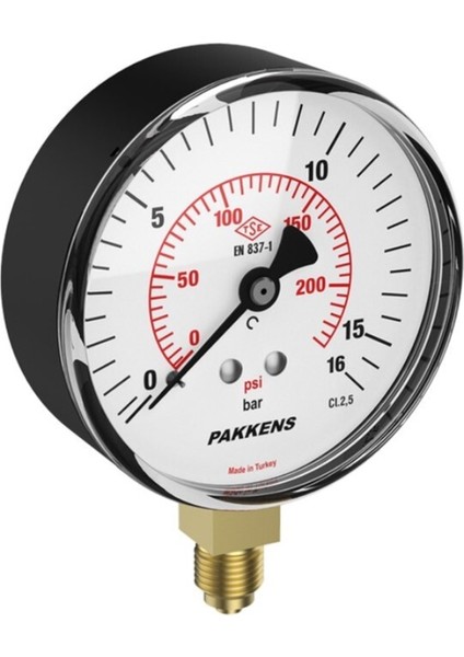 Q100 10 Bar Manometre Pakkens