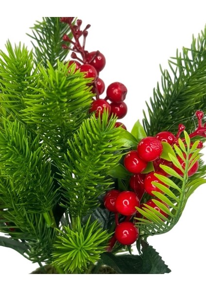 Yapay Çiçek Yılbaşı Çiçeği Kırmızı Kokina ve Çam Dalı Beyaz Aksıda 30*20CM modelleri